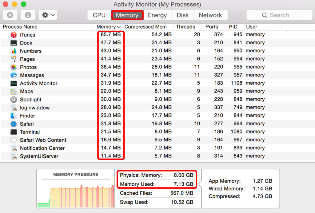 RAM usage on the Activity Monitor