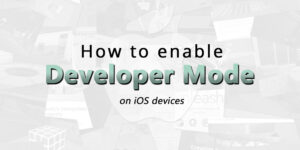 How to enable Developer Mode in iOS